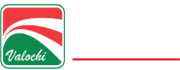 logo-branca